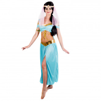 Womens Arabian Belly Dancer Princess Costume